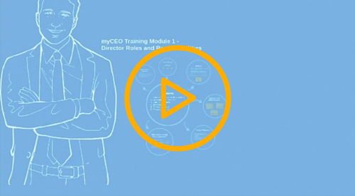 myCEO Director's checklist
